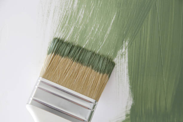 Best Black Mold Removal  in Tuba City, AZ